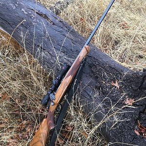 Griffin & Howe M1903 Springfield in caliber 30.06 Classic Bolt action rifle
