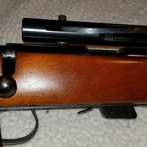 Remington .50 Caliber Tranquilizer Rifle