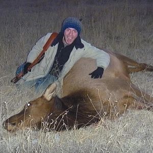 Hunting Elk