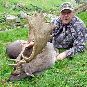 Hunt Fallow Deer New Zealand