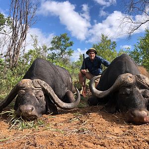 Zimbabwe Hunting Cape Buffalo