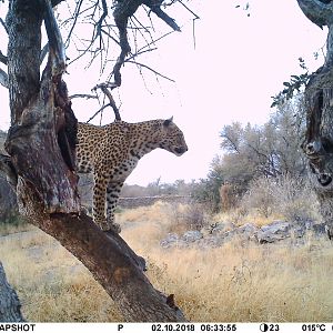 Sun rise in Namibia, lady of the night stayed up way past normal time