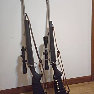 Two pairs of 450/400 Nitro Express with 30-06