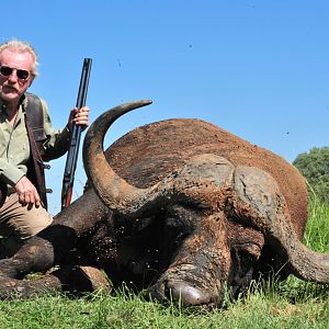 43" Inch Cape Buffalo Hunt South Africa