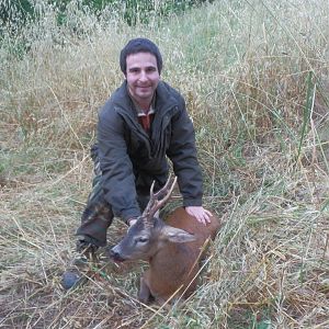 Hunting Roe Deer Italy