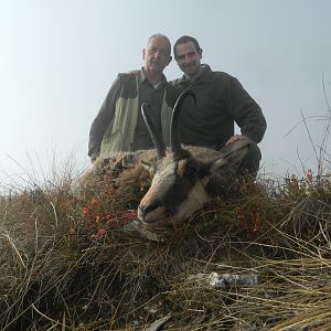Hunting Alpine Chamois with my Father Italy