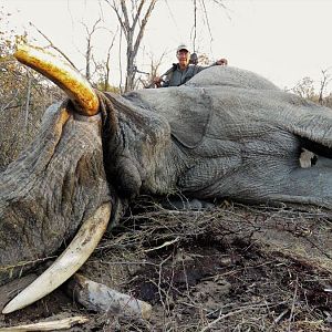 Hunting Elephant in Namibia