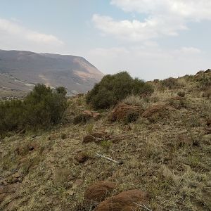 Hunting Area South Africa