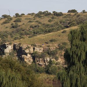 Free State Area South Africa