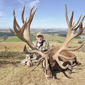 New Zealand Hunting Red Stag