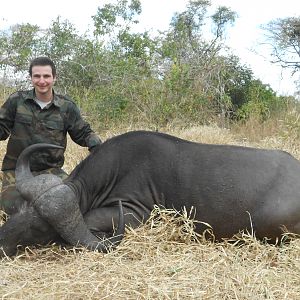 Cape Buffalo hunt Tanzania