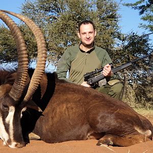 South Africa Hunting Golden Wildebeest