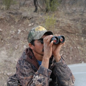 Glass for Coues Deer