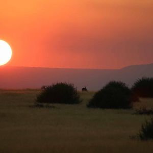 Palmwag Sunrise