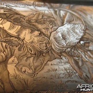 Cape Buffalo Engraving on Double Rifle