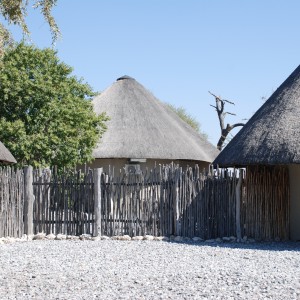 Etosha Namibia