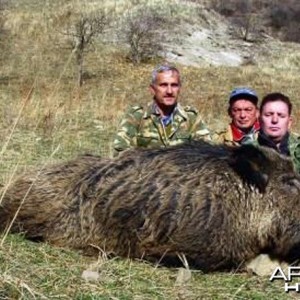 Hunting Wild Boar in Tadjikistan