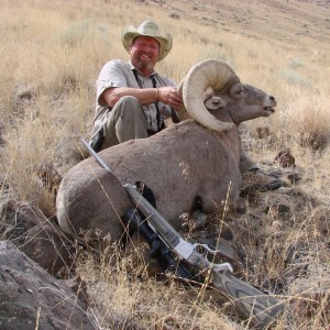 Owyhee Bighorn Sheep