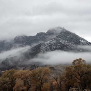 Wyoming wilderness