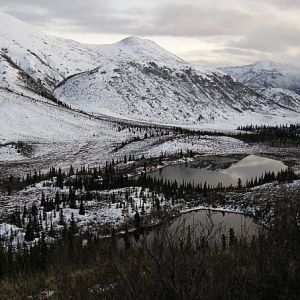 Hunting Moose and Grizzly in Alaska