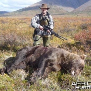 9 foot 2 Brown Bear hunt in SW Alaska with a 27 and 7/16 inch skull