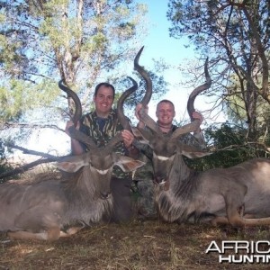 Two Eastern Cape Kudu 1 min apart