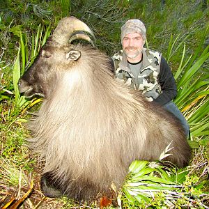 Tahr Hunting on private land- Free ranging & wild foot hunt