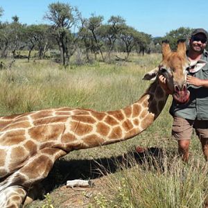 Giraffe Hunt South Africa