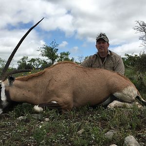 Texas USA Hunt Gemsbok/Scimitar Oryx Cross