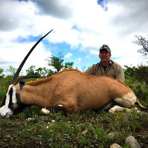 Hunt Gemsbok/Scimitar Oryx Cross in Texas USA
