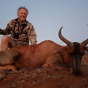 Hunting Tsessebe in South Africa