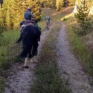 Wyoming Archery Elk Hunt 2018