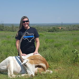 Scimitar Oryx Hunting Texas USA