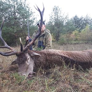 Romania Hunting Red Stag
