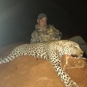 Namibia Hunt Leopard
