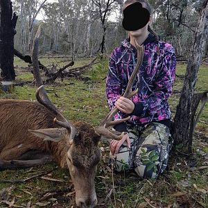 Australia Hunt Red Stag