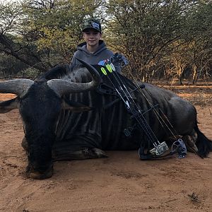 Limpopo Blue Wildebeest