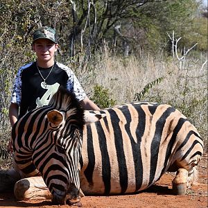Limpopo Zebra