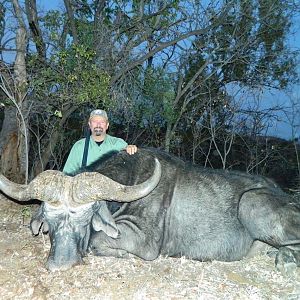 Hunt 47” Cape Buffalo