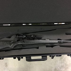 CZ550 .375 Rifle