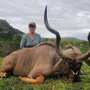 Kudu Hunting South Africa