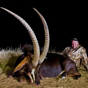 South Africa Hunting Sable Antelope