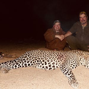 Hunting Leopard in Zimbabwe