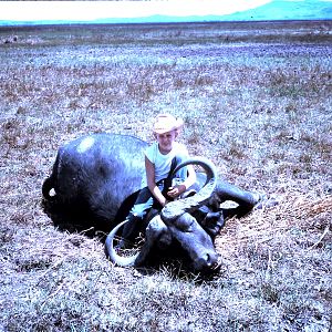 Buffalo Hunting Tanzania during 60's