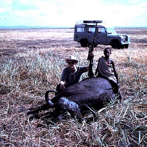 Buffalo Hunt Tanzania during 60's