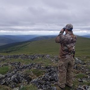 Hunt Caribou in USA