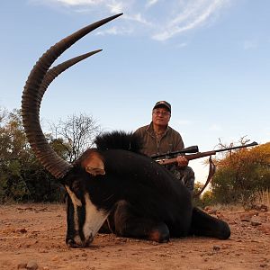 Sable Antelope Hunt South Africa