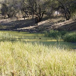 South Africa Hunting Area