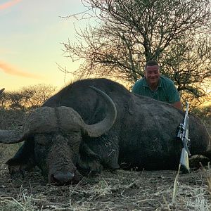 South Africa Hunt Cape Buffalo