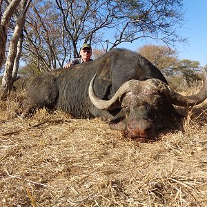 South African buffalo hunting at its best